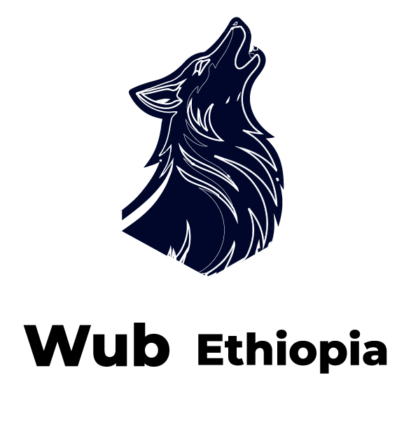 Wub Ethiopia Tour